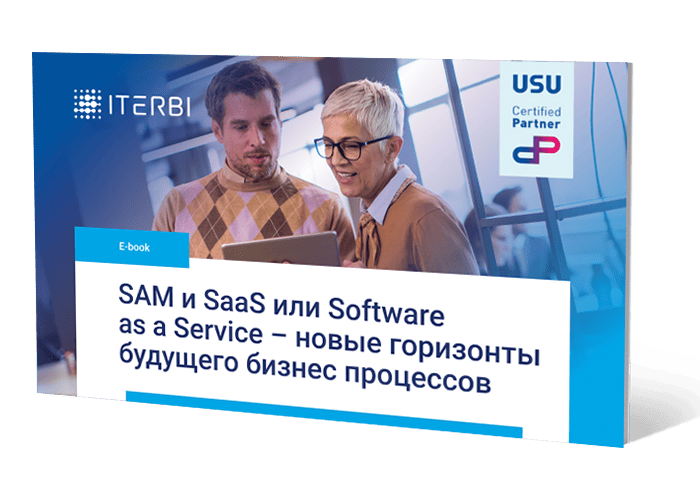 SAM и&nbsp;SaaS или Software as&nbsp;a&nbsp;Service&nbsp;&mdash; новые горизонты будущего бизнес процессов