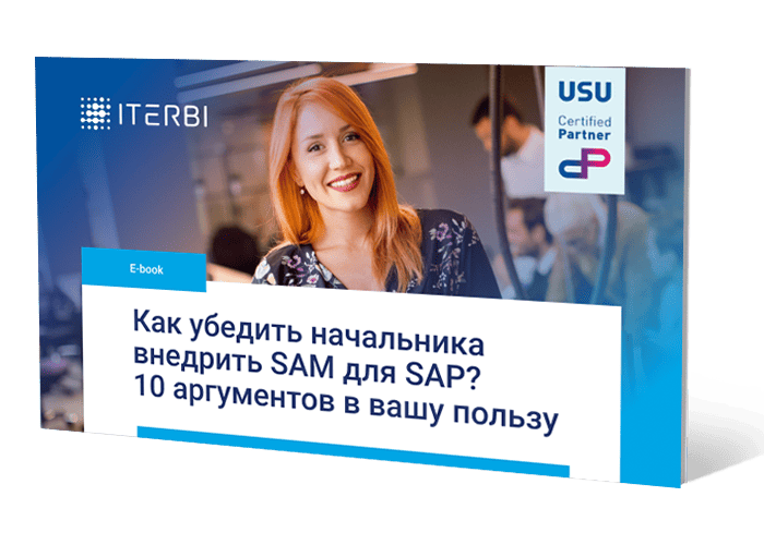 Как убедить начальника внедрить SAM для&nbsp;SAP? 10&nbsp;аргументов в&nbsp;вашу пользу