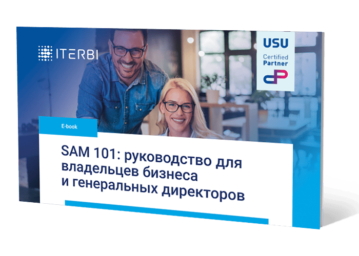 SAM 101: руководство для&nbsp;владельцев бизнеса и&nbsp;генеральных директоров